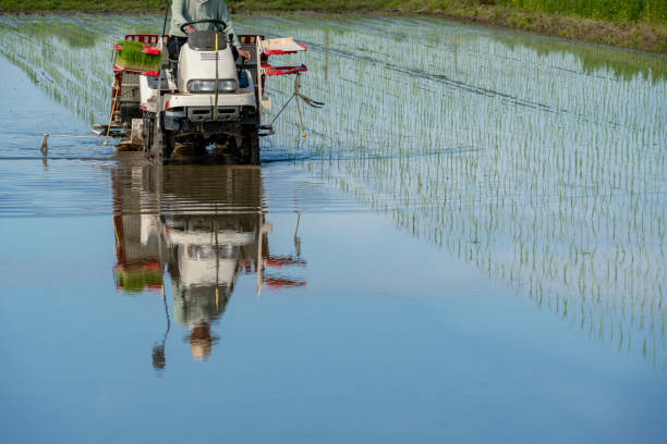 農業会計・経営サポート