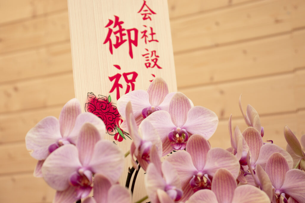 開業・法人設立コンサルティング